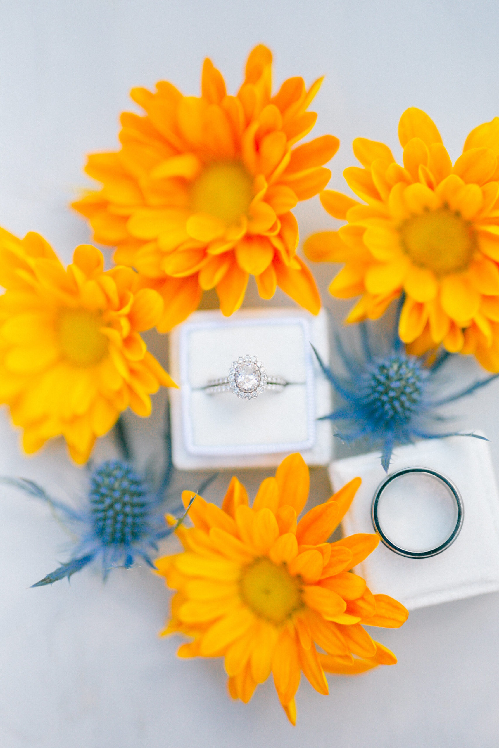 Beautiful close-up image of an engagement ring and wedding bands in Charleston, South Carolina.