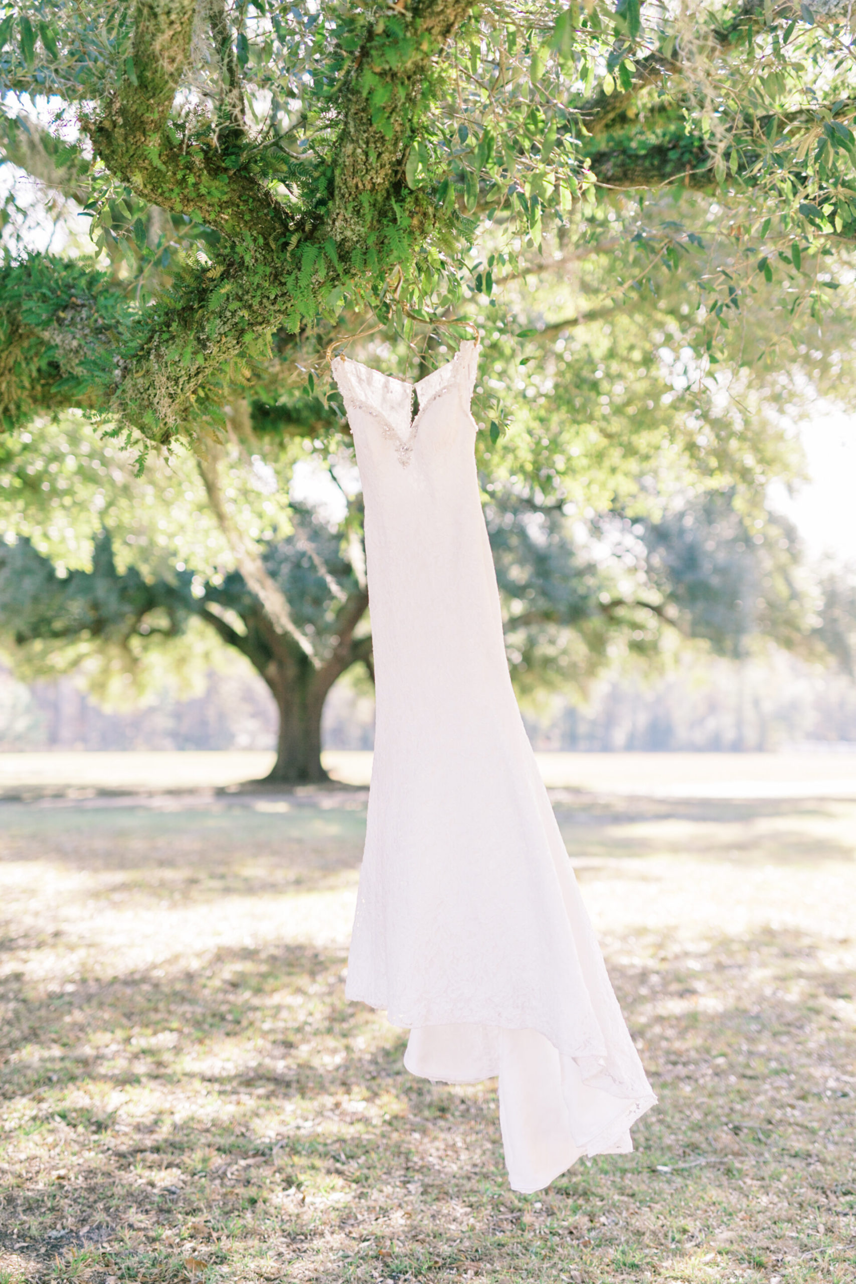 Stunning wedding dress at a South Carolina plantation wedding.