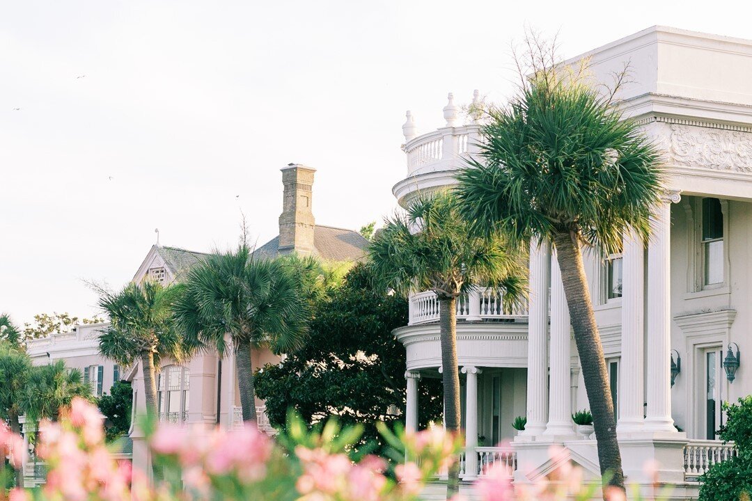 A trip to Charleston is never complete without a walk along the outer sea wall in front of the Battery - where you get equal parts sunset, ocean breeze, historic homes, and quintessential blooms all in one lovely spot!⠀⠀⠀⠀⠀⠀⠀⠀⠀
⠀⠀⠀⠀⠀⠀⠀⠀⠀
#charlestonphotographer⠀⠀⠀⠀⠀⠀⠀⠀⠀
#charlestonwedding⠀⠀⠀⠀⠀⠀⠀⠀⠀
#charlestonbride⠀⠀⠀⠀⠀⠀⠀⠀⠀
#charlestonweddingphotographer⠀⠀⠀⠀⠀⠀⠀⠀⠀
#bestcharlestonphotographer⠀⠀⠀⠀⠀⠀⠀⠀⠀
#bestcharlestonweddingphotographer⠀⠀⠀⠀⠀⠀⠀⠀⠀
#hiltonheadweddingphotographer⠀⠀⠀⠀⠀⠀⠀⠀⠀
#hiltonheadphotographer⠀⠀⠀⠀⠀⠀⠀⠀⠀
#blufftonweddingphotographer⠀⠀⠀⠀⠀⠀⠀⠀⠀
#montagepalmettobluff⠀⠀⠀⠀⠀⠀⠀⠀⠀
#charlestonengagementphotos⠀⠀⠀⠀⠀⠀⠀⠀⠀
#charlestonweddingplanner⠀⠀⠀⠀⠀⠀⠀⠀⠀
#charlestonbridetobe⠀⠀⠀⠀⠀⠀⠀⠀⠀
#charlestonengagement⠀⠀⠀⠀⠀⠀⠀⠀⠀
#charlestonengagementphotographer⠀⠀⠀⠀⠀⠀⠀⠀⠀
#charlestonweddings⠀⠀⠀⠀⠀⠀⠀⠀⠀
#southcarolinaphotographer⠀⠀⠀⠀⠀⠀⠀⠀⠀
#greenvilleweddingphotographer⠀⠀⠀⠀⠀⠀⠀⠀⠀
#columbiaweddingphotographer⠀⠀⠀⠀⠀⠀⠀⠀⠀
#luxuryweddings⠀⠀⠀⠀⠀⠀⠀⠀⠀
#highendweddingphotography⠀⠀⠀⠀⠀⠀⠀⠀⠀
#myarchetype⠀⠀⠀⠀⠀⠀⠀⠀⠀
#savannahw